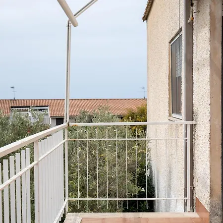 Bilocale 82 La Giungla