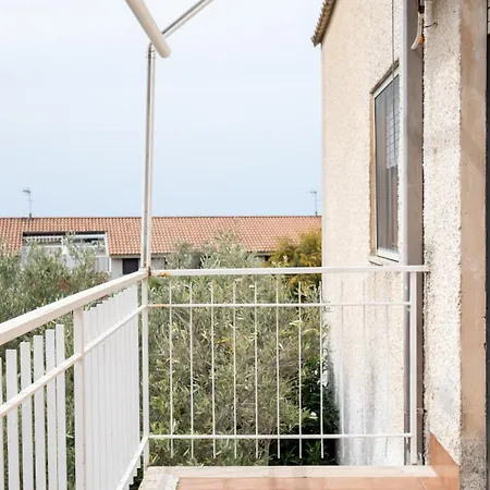 Διαμέρισμα Bilocale 82 La Giungla Falerna Scalo